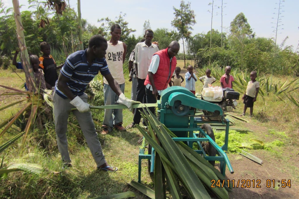 Sisal twine manufacturing