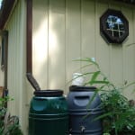 Rain barrel for rainwater catchment