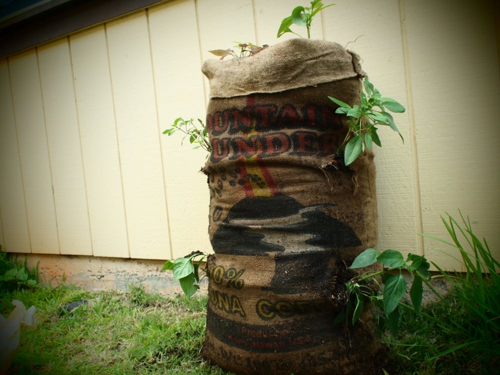 Sacks for sales garden waste