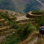 Terraced rice field in Longji, China