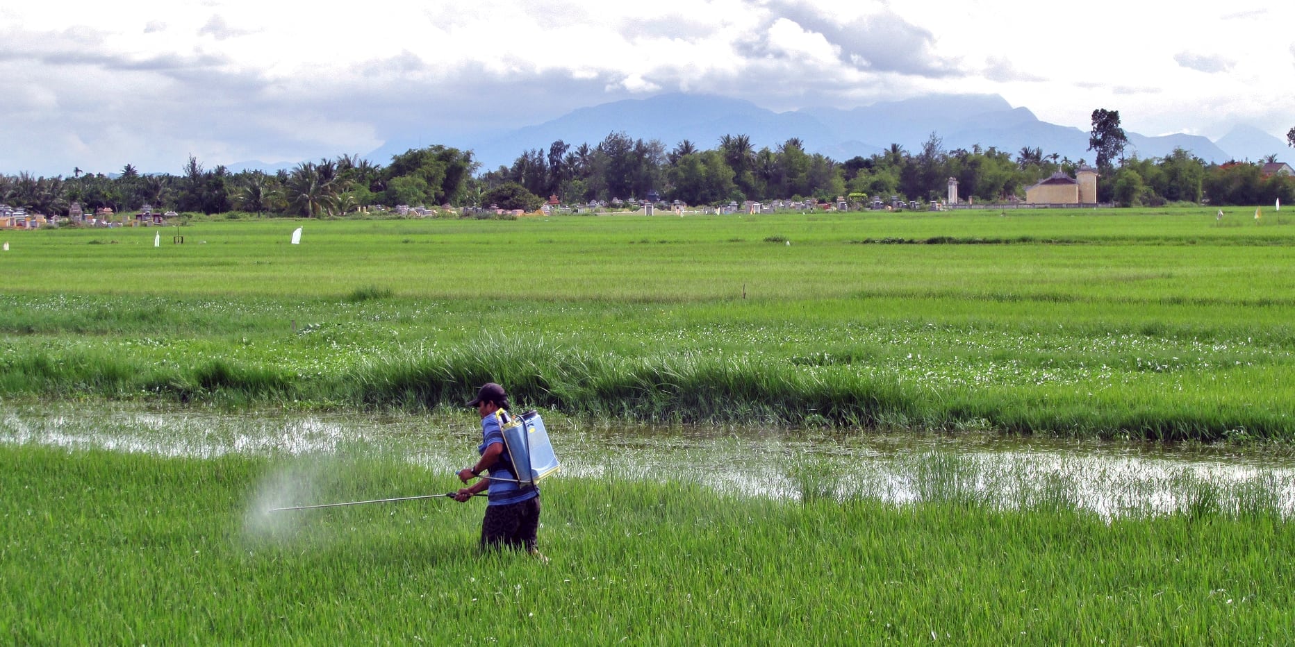 Spraying pesticides