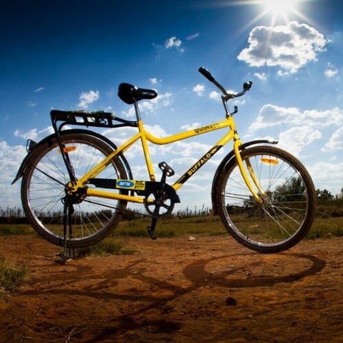 Buffalo bicycles 2025