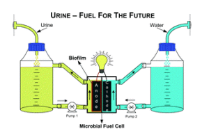 waste to energy 10