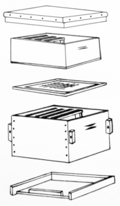 These are the components of a Langstroth hive. Image courtesy of the Elephants and Bees Project These are the components of a Langstroth hive. Image courtesy of the Elephants and Bees Project