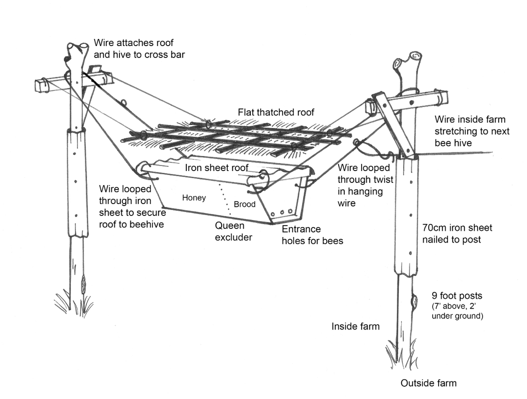 A top-bar hive hangs from fence posts in this diagram from the Beehive Fence Construction Manual. Image courtesy of the Elephants and Bees Project