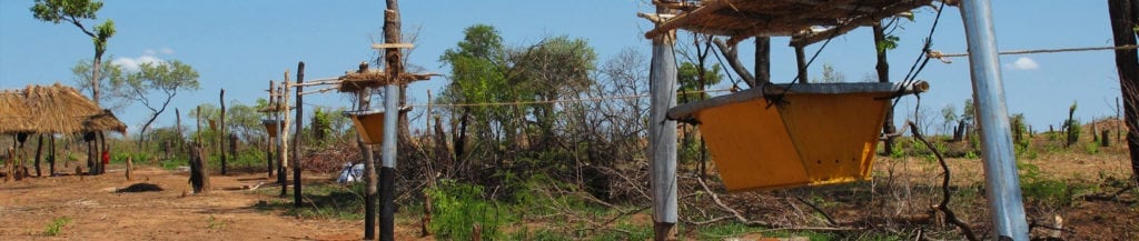 mozambique-banner