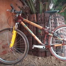 boogaali bike