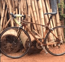 boogaali bike