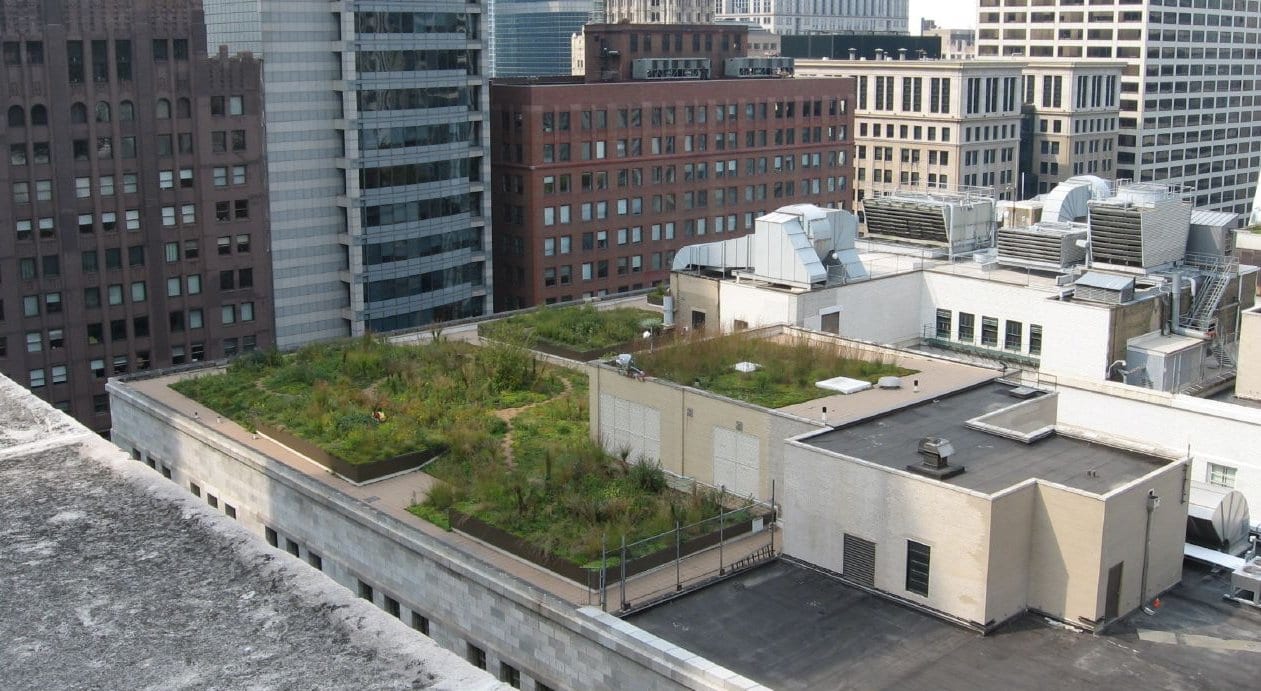 How Buildings in Johannesburg Could Benefit from Green Roofs Engineering For Change