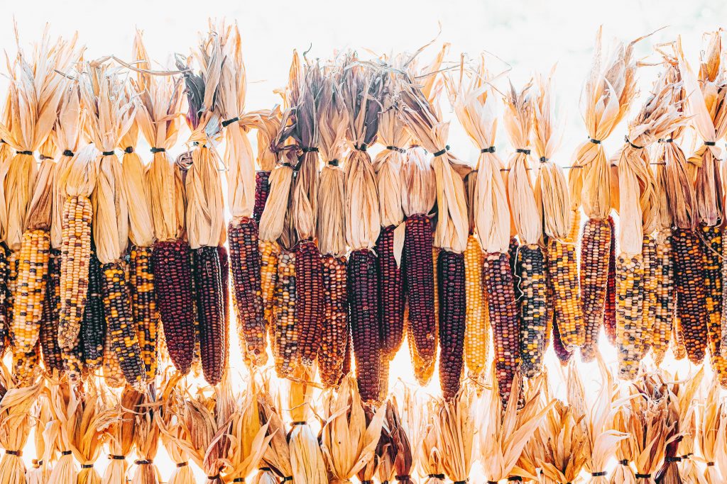 Indigenous Food Sovereignty Requires Better Data Collection