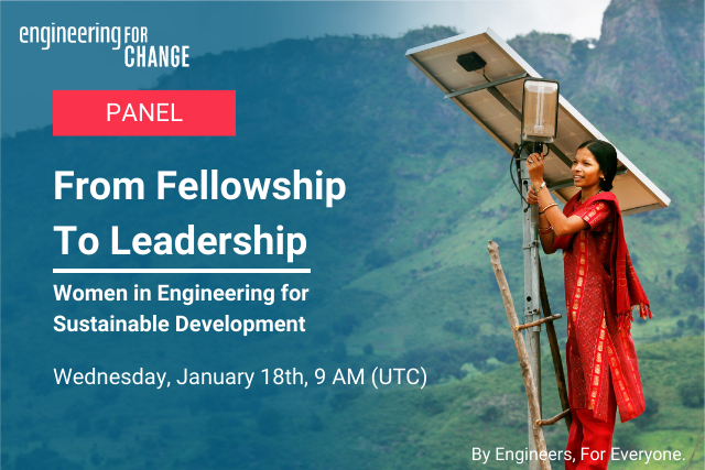 From Fellowship to Leadership: Women in Engineering for Sustainable Development