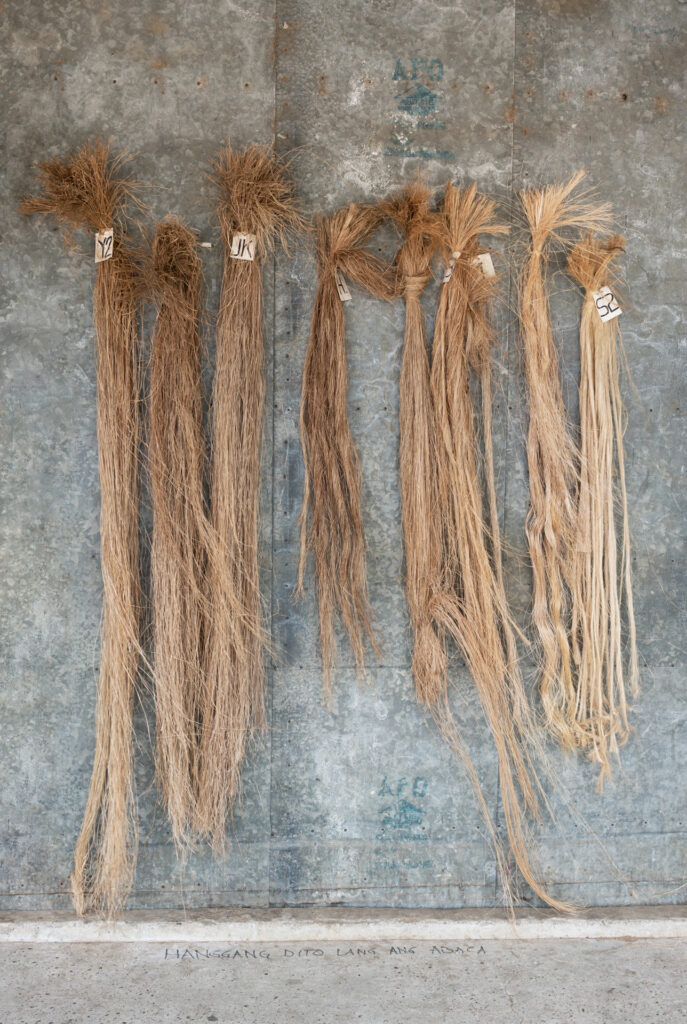 Banana Fiber Textiles Venture into the Sustainability Gap Engineering