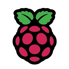 Raspberry Pi Foundation | Engineering For Change