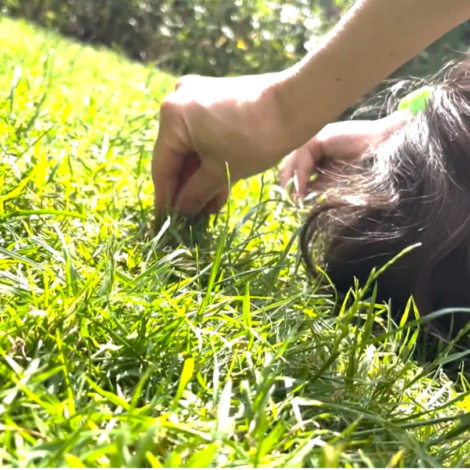 This close-up screen capture from a portal video shows bright sunlight on a field of green grass. Elisabeth Motley lays on her back, reaching her arms above her head to grasp blades of grass in her fingers, eyes closed in the sun. Photo: Dr. Petra Kuppers 