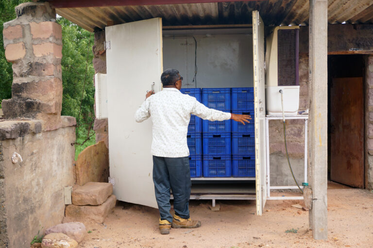 CoolVeg portable forced air evaporative cooler. Image by Eric Verploegen
