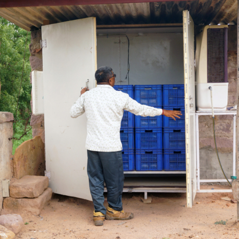 CoolVeg portable forced air evaporative cooler. Image by Eric Verploegen
