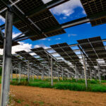 agrivoltaics solar panels on a farm