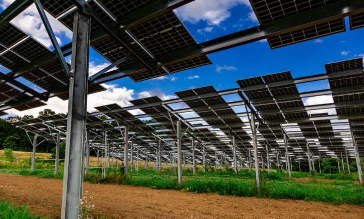 agrivoltaics solar panels on a farm